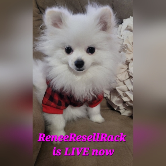 ReneeResellRack is LIVE@6 pm central💥$5 Unlisted NWT & preloved Women XS-3X - Picture 3 of 16